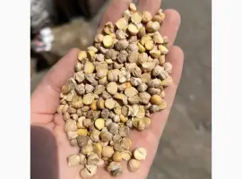 Зображення для оголошення Нут відходи після калібровки