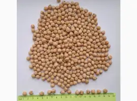 Зображення для оголошення Продам нут калибр 8