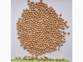Зображення для оголошення Продам нут калибр 6