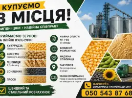 Зображення для оголошення Постійно купуємо зернові та олійні з господарства