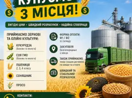 Зображення для оголошення Закупівля зернових та олійних культур - розрахунок за фактом