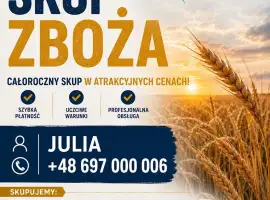 Зображення для оголошення Закуповуємо зернові