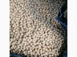 Зображення для оголошення Продаем нут