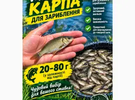 Зображення для оголошення Продаж зарибка коропа