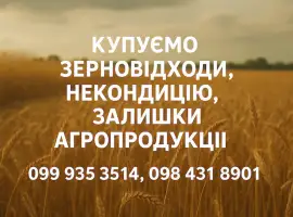 Зображення для оголошення Купуємо некондиційне зерно та побічні продукти