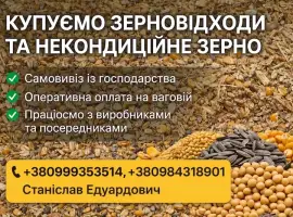 Зображення для оголошення Закупівля некондиційного зерна і відходів зернових