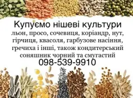 Зображення для оголошення Купуємо всі нішеві культури та кондитерський соняшник
