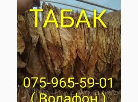 Зображення для оголошення Тютюн Опт/Розница Лапша Пахуч. Чистый Сухой Вирджиния Кентуки Голд Берли. Табак Гильзы