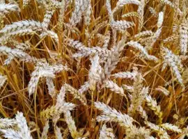 Зображення для оголошення Купуємо відходи