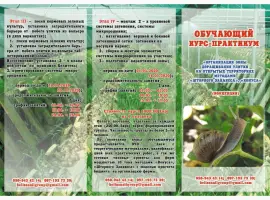 Зображення для оголошення Улиточная ферма методом "Шторного Занавеса". Обучающий курс - практикум