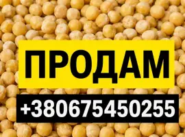 Зображення для оголошення Продам горох жовтий