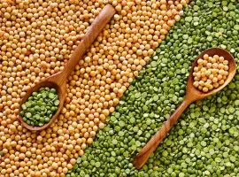 Зображення для оголошення Купуємо горох жовтий