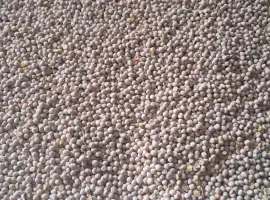 Зображення для оголошення Продам горох