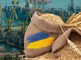 Зображення для оголошення Купляємо агропродукції