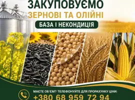 Зображення для оголошення Закуповуємо зернові та олійні: база і некондиція