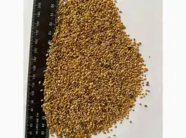 Зображення для оголошення Продам ПРОСяні відходи