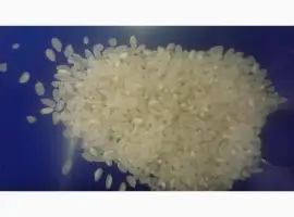 Зображення для оголошення Продам рис