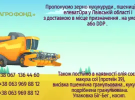 Зображення для оголошення Продамо зерно з елеватора на умовах FCA або DDP.We offer corn