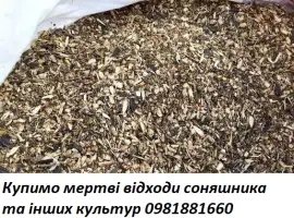 Зображення для оголошення Куплю мертві відходи соняшника та інших культур
