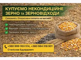 Зображення для оголошення Закупівля некондиційного зерна та агровідходів по Україні