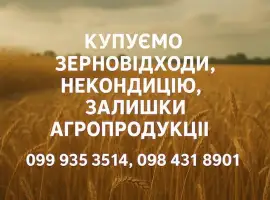 Зображення для оголошення Закупівля некондиційного зерна та зерновідходів