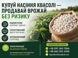 Зображення для оголошення Насіння квасолі білої з гарантією викупу врожаю