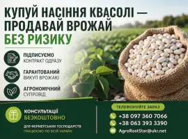 Зображення для оголошення Насіння білої квасолі