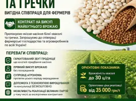 Зображення для оголошення Насіння квасолі та гречки - вигідна співпраця для фермерів