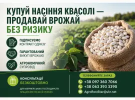 Зображення для оголошення Насіння квасолі на продаж. Гарантія викупу врожаю