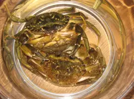 Мясо краба. Черноморские крабы живые