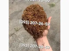 Зображення для оголошення Люльки