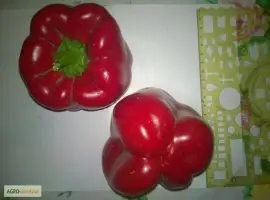 Продам перец салатный