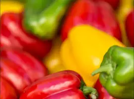 Зображення для оголошення Продам заморожений перець оптом від 5 тонн перець різаний для HoReCa і переробки Львівська