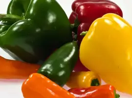 Зображення для оголошення Продаж перцю Білозерка Кіровоградська обл опт сезонний перець у тарі