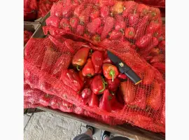 Зображення для оголошення Продам сладкий перец конус Феррари
