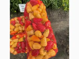 Зображення для оголошення Продам перець сорт Керіл