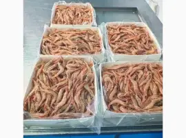 Продам креветку глибоководну!сиру