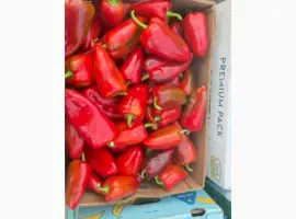 Зображення для оголошення Продам перець Ферарі