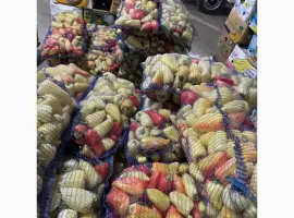 Зображення для оголошення Перець Хаскі оптом