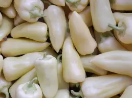 Зображення для оголошення Продам перець Хаскі