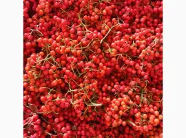 Зображення для оголошення Продам в об'ємі горобину червону заморозка