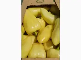 Зображення для оголошення Продам товарний перець