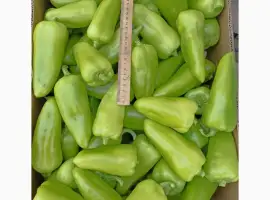 Зображення для оголошення Продам перець
