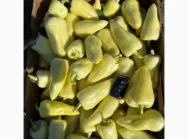 Зображення для оголошення Продам перець салатний