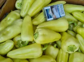 Зображення для оголошення Продам перець