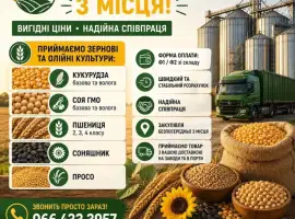 Зображення для оголошення Закупівля врожаю з самовивозом та швидкою оплатою