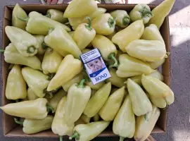 Зображення для оголошення Продам перець
