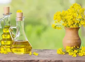 Продаємо олію ріпакову