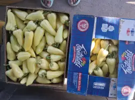 Зображення для оголошення Продам перець