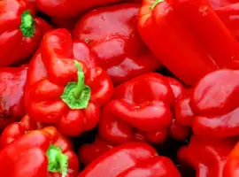 Зображення для оголошення Продам заморожений перець оптом від 5 тонн перець болгарський для виробництва Черкаська об